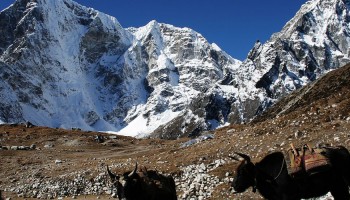 Cholatse Peak Climbing – 23 Days